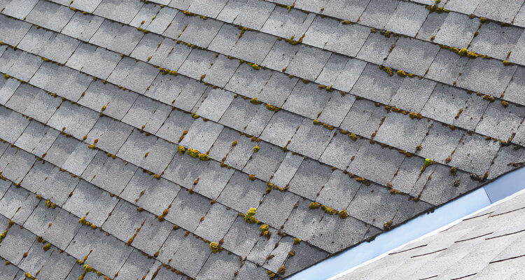 You May Need a New Roof on your Belleville, Illinois Home