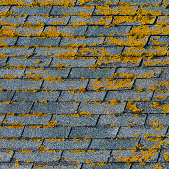 Roof Replacement