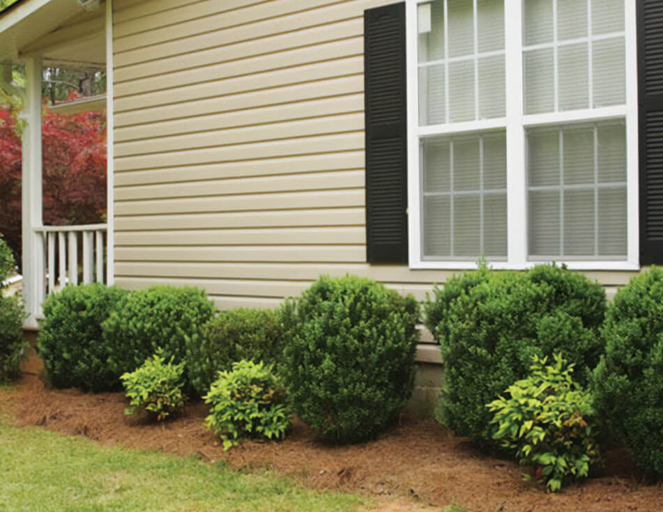 Siding Replacement O'Fallon IL